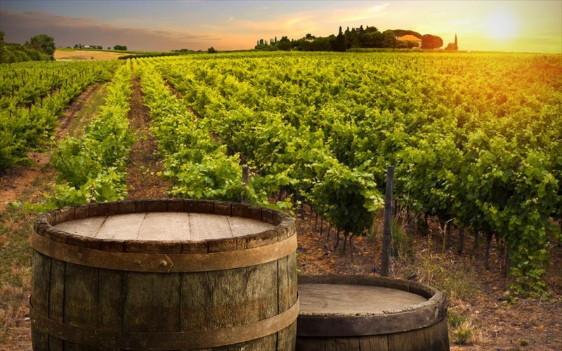 oiniki-bolta-se-duo-mouseia-krasiou