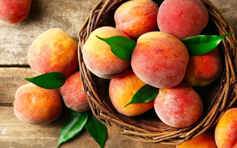 nektarinia-kai-rodakina-pou-diaferoun