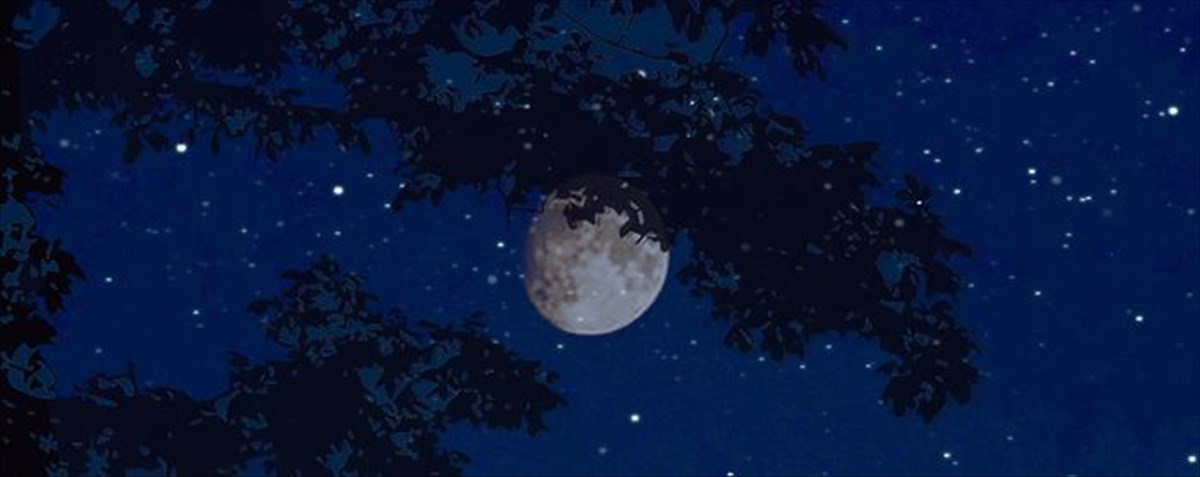 festibal-rematias-2020