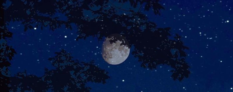 erxetai-to-festibal-rematias-2020--nuxtes-allilegguis-nuxtes-allilegguis