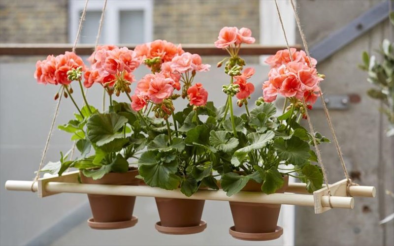 pos-na-ftiaksete-tis-dikes-sas-diy-kataskeues-me-gerania-se-glastres