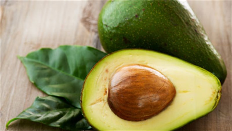 i-threptiki-aksia-kai-i-simasia-tou-abokanto-sti-diatrofi-mas-simasia-tou-abokanto-sti-diatrofi-mas