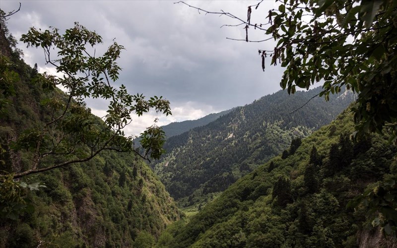 agrafa-eurutanias-oi-omorfies-tous-mesa-apo-20-fotografies