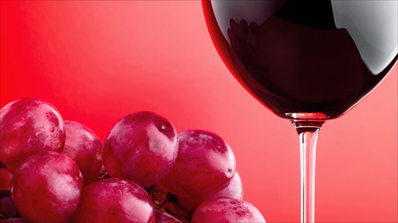 5-kokkina-krasia-pou-pinontai-drosera-kokkina-krasia-pou-pinontai-drosera