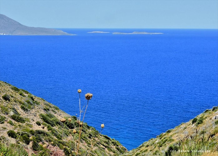 taksidi-sta-kuthira-mesa-apo-30-uperoxes-fotografies
