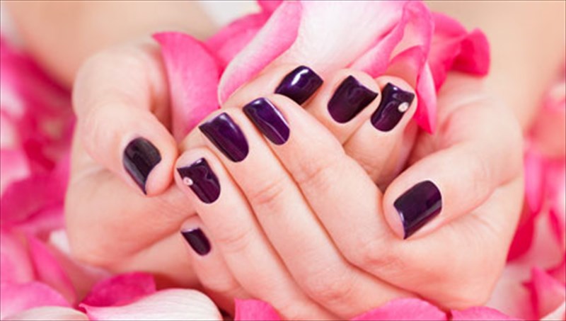 nuxia-12-agnostes-mexri-simera-plirofories