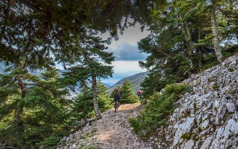 anakaluptoume-pente-meri-tis-athinas-opou-i-fusi-orgiazei-fusi-orgiazei