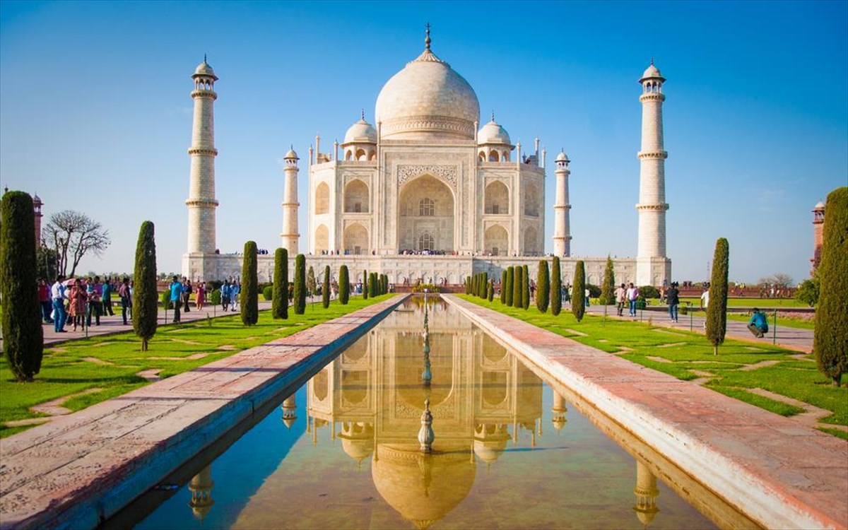taz-maxal-india