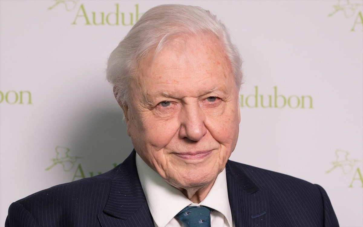 david-attenborough