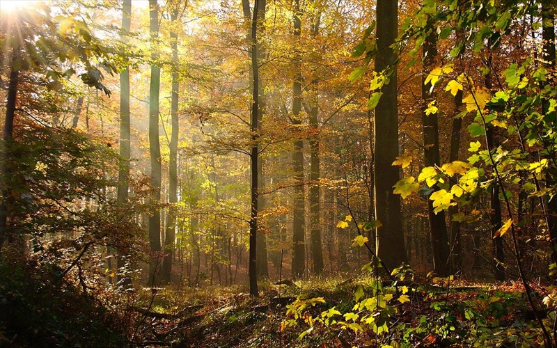 mia-fthinoporini-pezoporia-sti-grammeni-oksua-etoimazetai