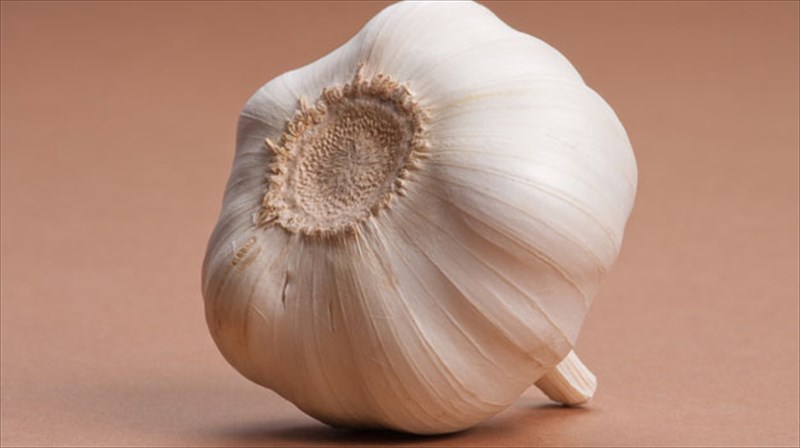 skordo-to-pareksigimeno