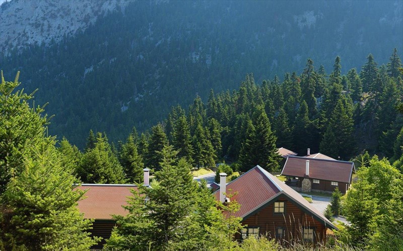 to-dog-weekend-epistrefei-gia-4i-xronia-ston-parnasso