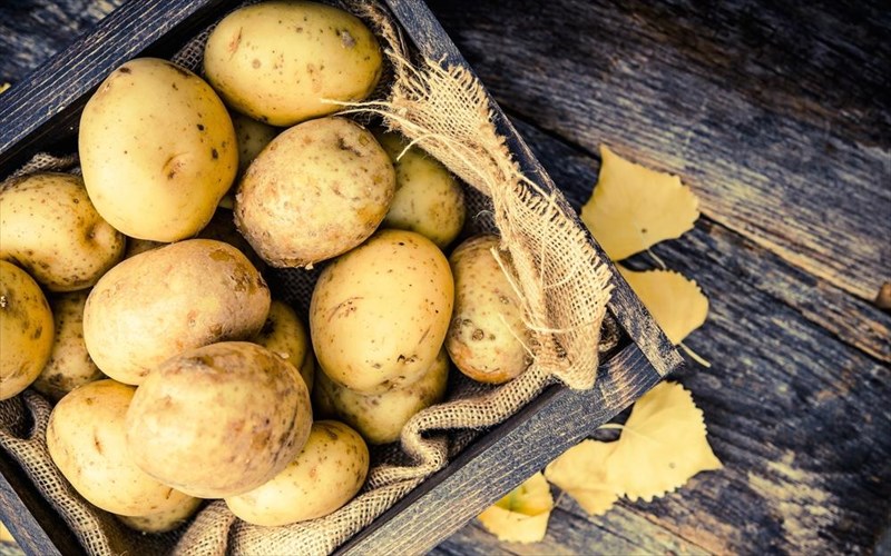 ti-einai-kai-pou-brisketai-i-solanini-solanini