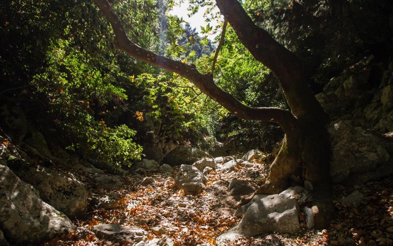 treis-kontines-ekdromes-gia-na-kseskasete-prin-to-lockdown