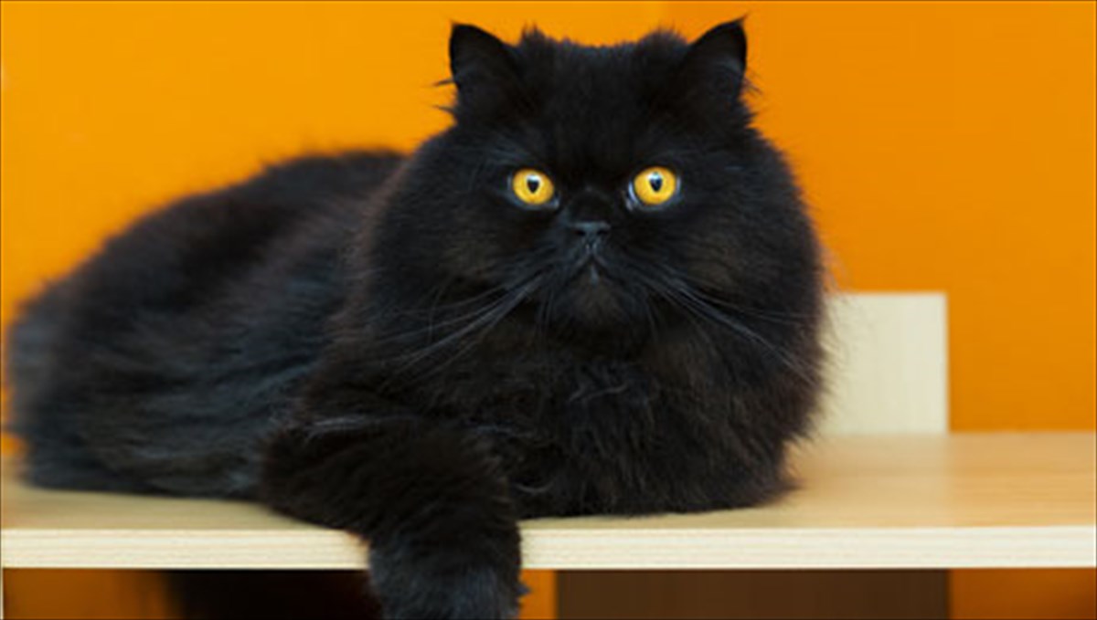 mipos-eiste-proliptikos-oxi-kale-xtupa-ksulo