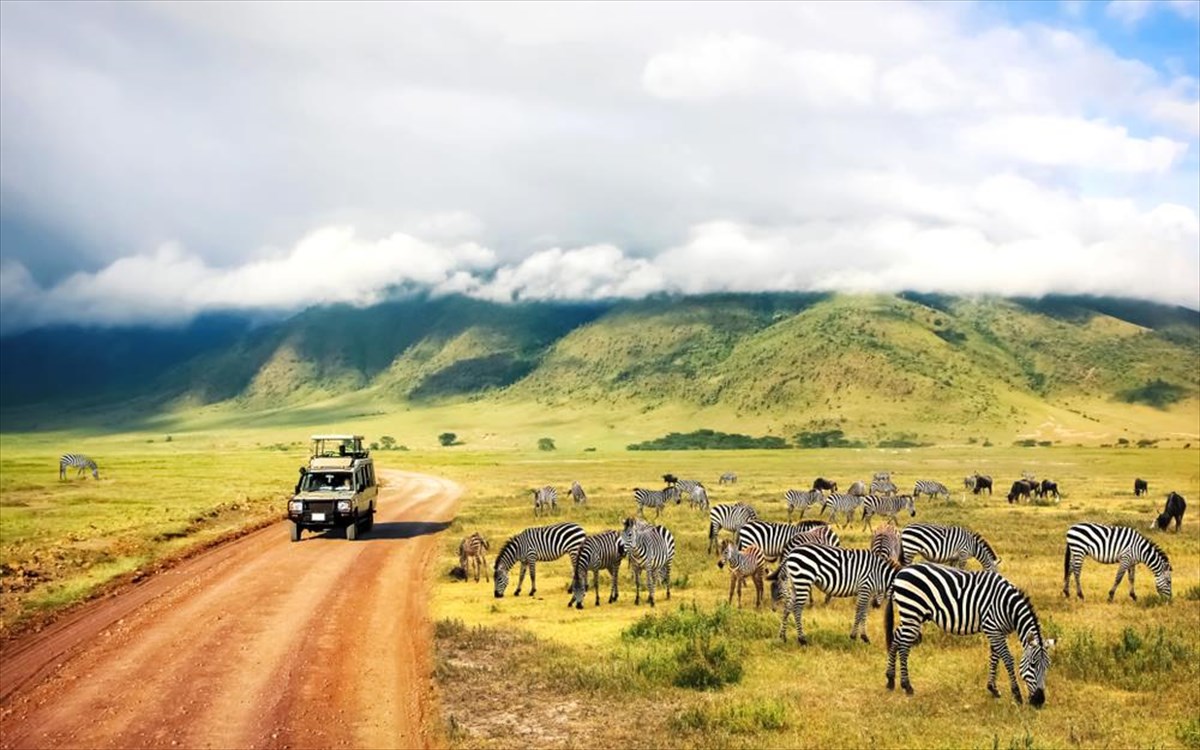 safari-afriki