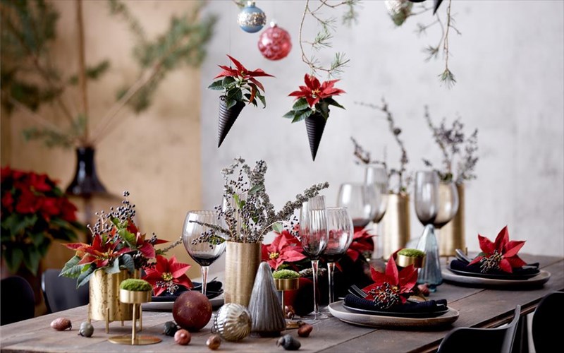 pos-na-ftiaksete-poluxromes-suntheseis-me-aleksandrina-gia-to-eortastiko-trapezi