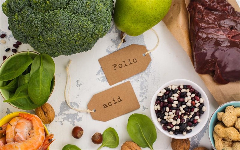 foliko-kai-fulliko-oksu-pou-diaferoun