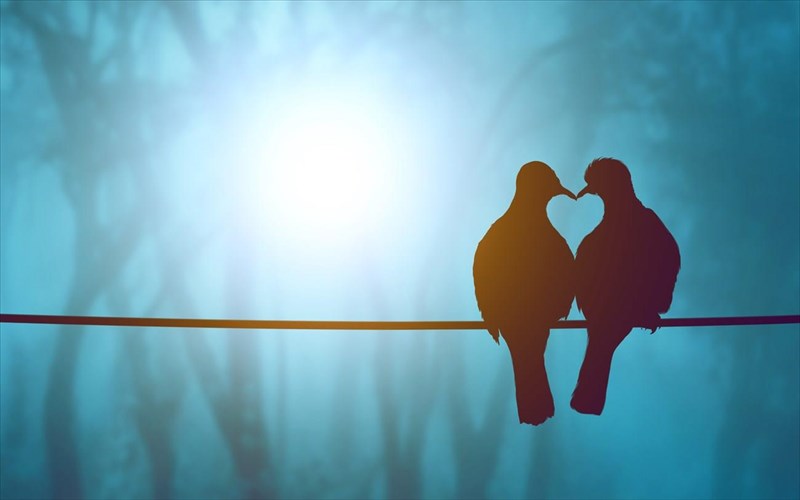 prin-xathoun-ta-poulia-ena-muthistorima-gia-ta-oria-tis-agapis