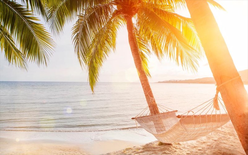 pos-tha-einai-oi-kalokairines-mas-diakopes-fetos