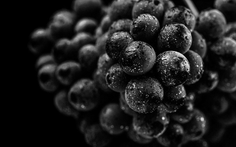 mauro-krasi-einai-i-nea-tasi-nea-tasi