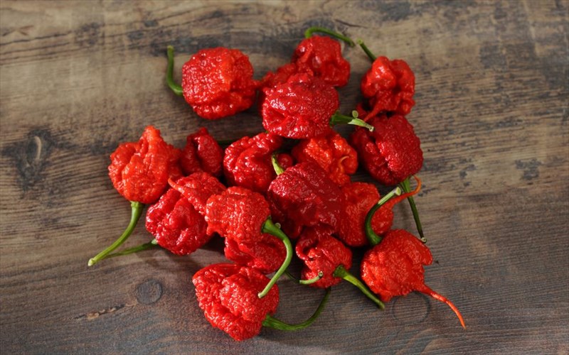 auti-einai-i-pio-kauteri-piperia-tou-kosmou-tha-tin-dokimazate-pio-kauteri-piperia-tou-kosmou-tha-tin-dokimazate