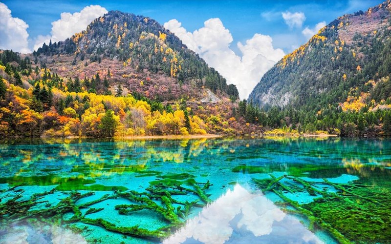 thaumaste-ti-limni-5-louloudion-stin-kina-louloudion-stin-kina