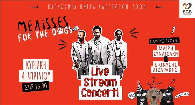 melissesforthedogs-mialivestreamsunaulia-afieromeni-se-kathe-adespoto