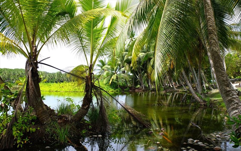 kserete-poio-einai-to-nisi-tis-xaras