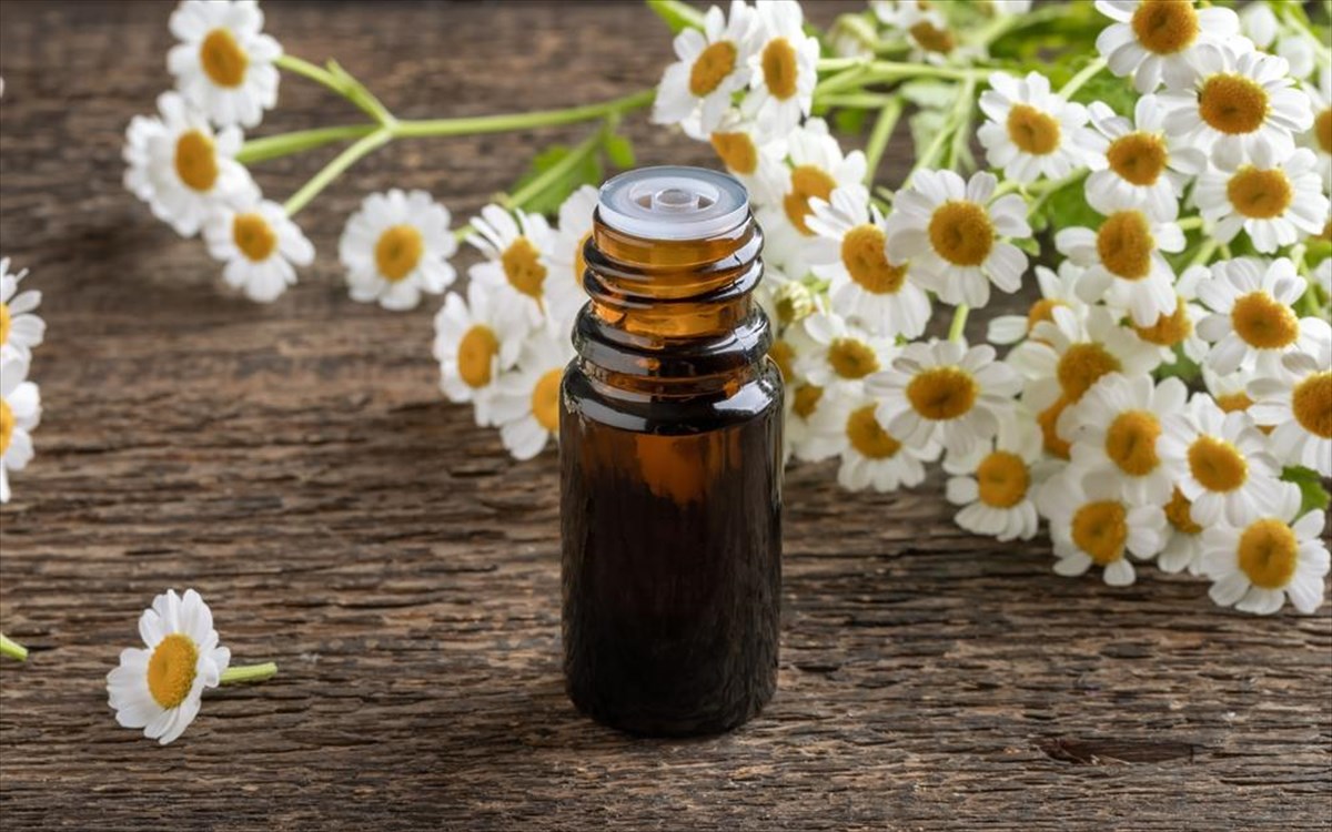 feverfew-elaio-baskantira