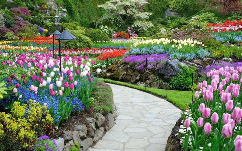 apolambanoume-tin-anoiksi-stous-pio-omorfous-kipous-tou-kosmou