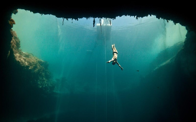 dolphin-man-dorean-proboli-gia-tin-imera-tis-gis