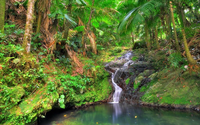 taksidi-stous-pio-prasinous-proorismous-tou-planiti