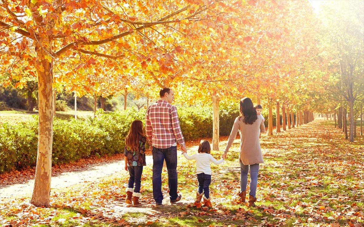 familywalkinginanautumnparkwithfallenfallleaves