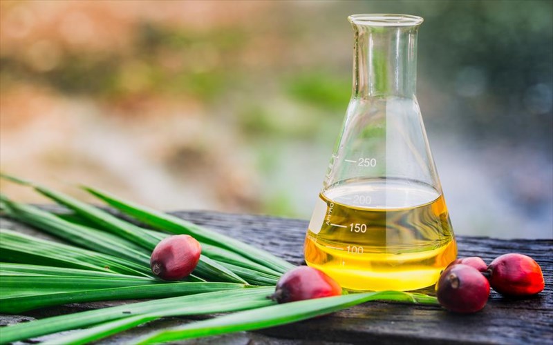 foinikelaio-giati-prepei-na-to-apofeugoume