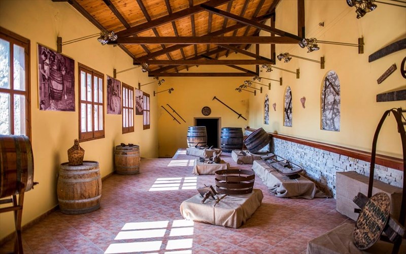 oli-i-diadromi-tis-ampelokalliergeias-se-ena-mouseio-diadromi-tis-ampelokalliergeias-se-ena-mouseio