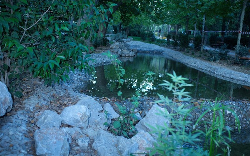 to-idruma-onasi-dinei-nea-pnoi-sto-pedion-tou-areos