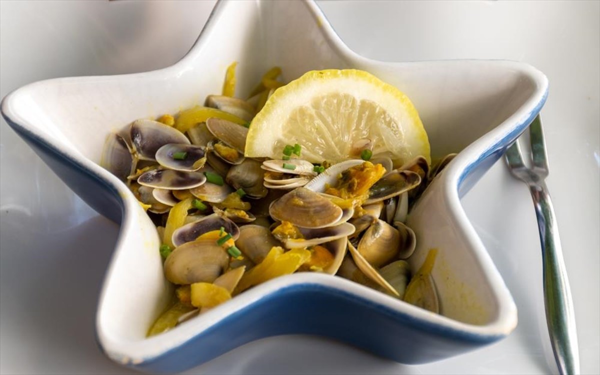 tellines-de-camargue