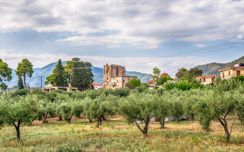 1o-rovies-food-fest-ena-taksidi-geuseon-stis-robies-euboias