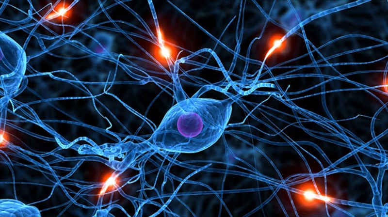 thumomaste-kalutera-mexri-tin-ilikia-ton-34-eton