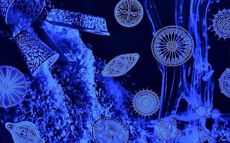 oceans-breath12-sugxronoi-kallitexnes-ides-ekthetoun-sto-mouseio-irakleidon