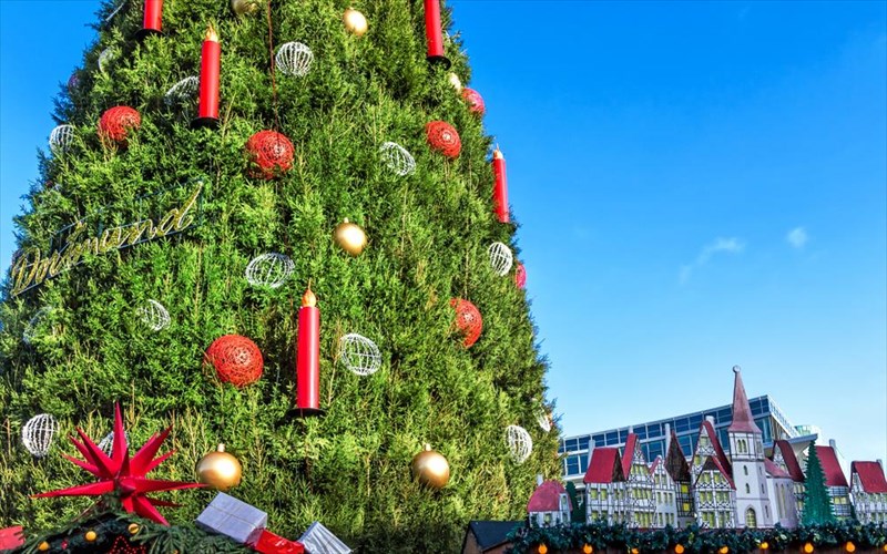 auto-einai-to-megalutero-xristougenniatiko-dentro-tou-kosmou