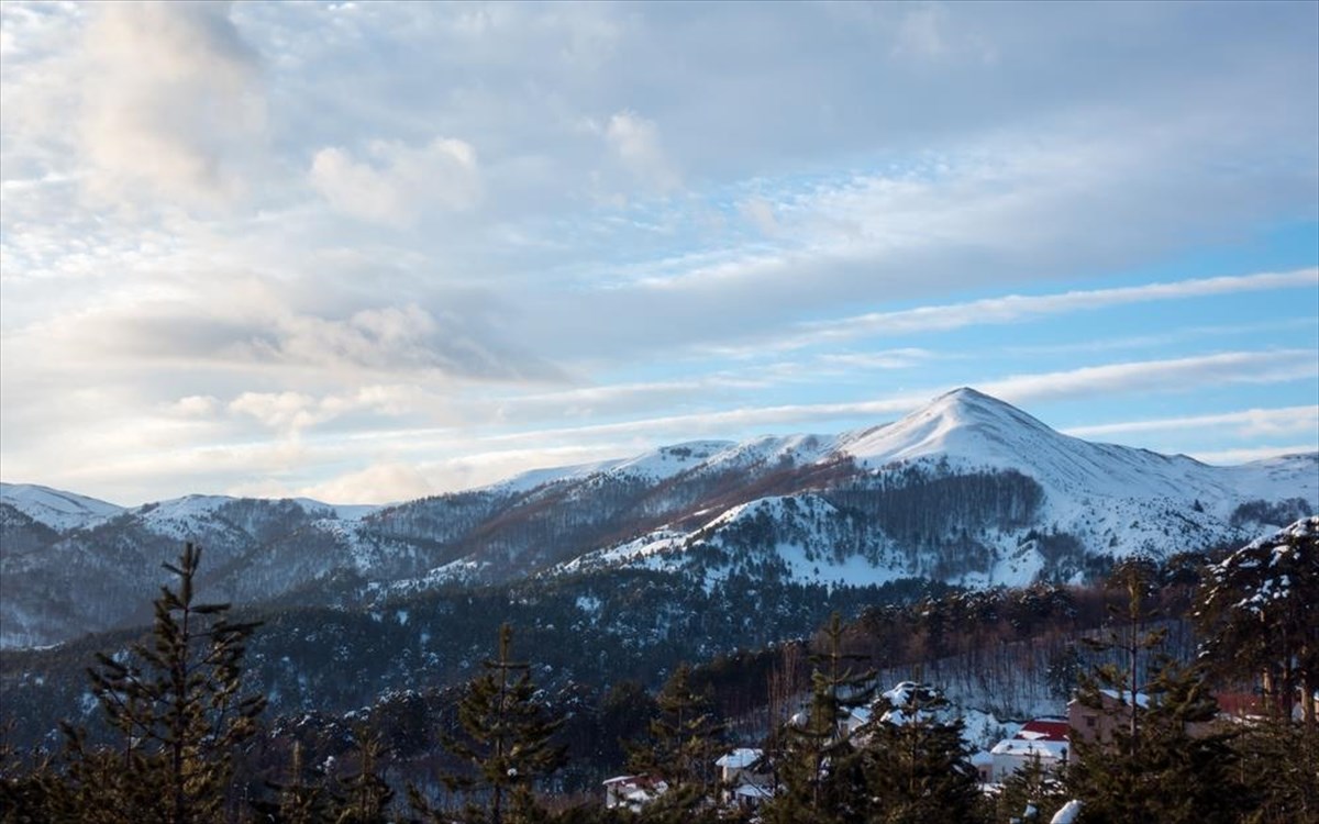 basilitsa-bouno-xioni