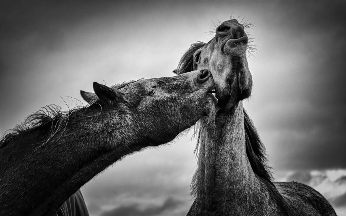 -todor-tilev--bulgaria--love-nature-love-nature