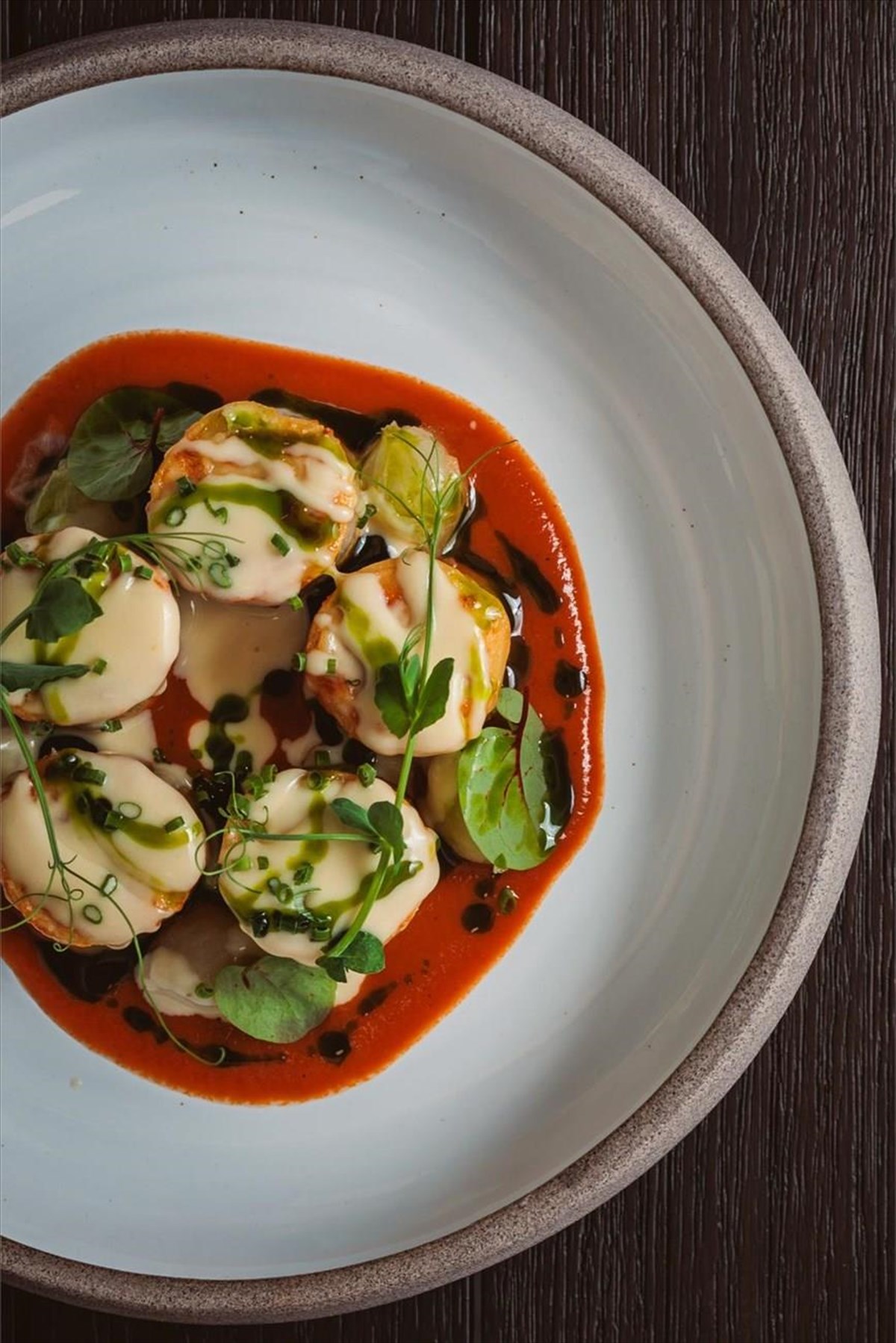 octopus-stifado-canneloni