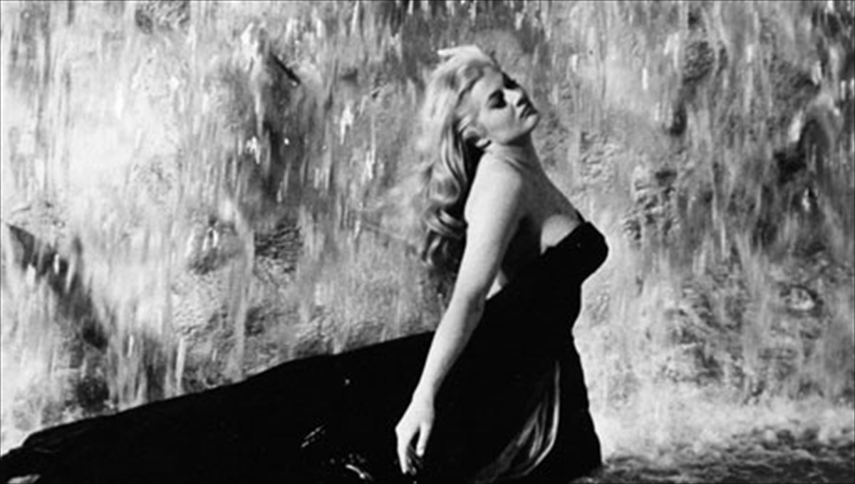 glukia-zoi-gia-tous-sinefil-me-to-afieroma-ston-fenteriko-felini