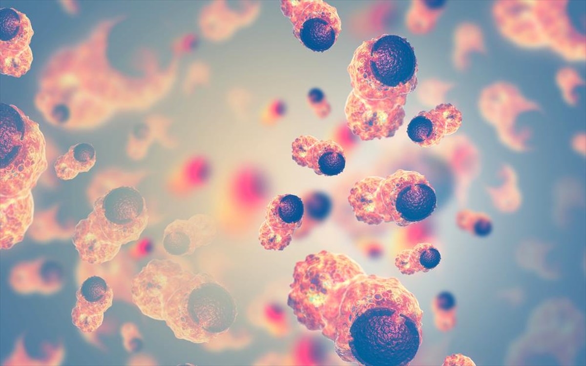 karkinos-karkinika-kuttara