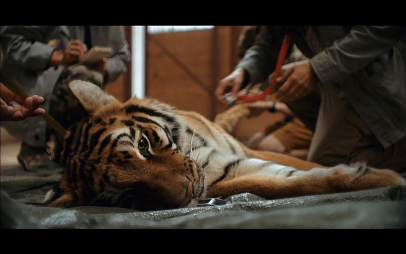 poio-meros-tis-elladas-espase-ta-rekor-stis-poliseis-polutelon-katoikion-stin-elliniki-agora