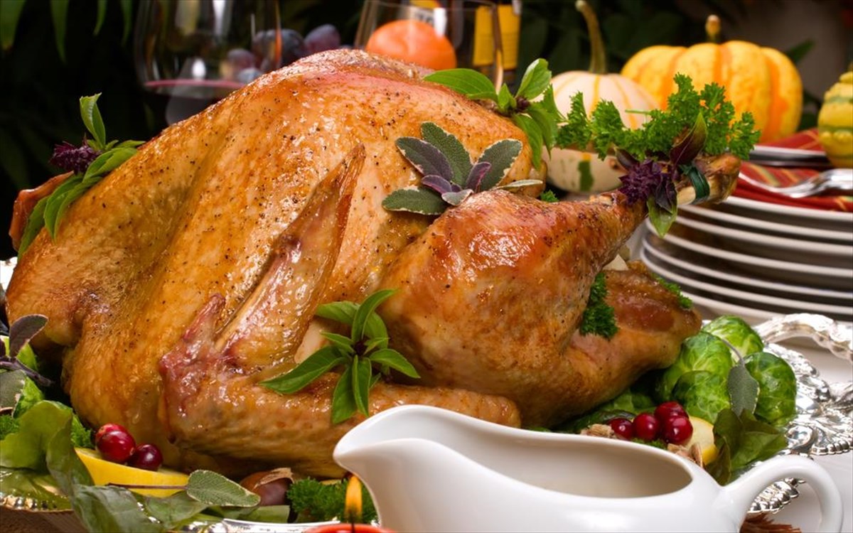 galopoula-galopoula-thanksgiving