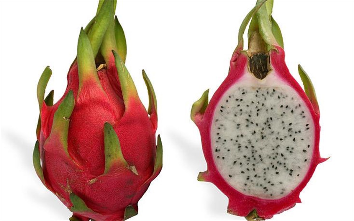 dragonfruit